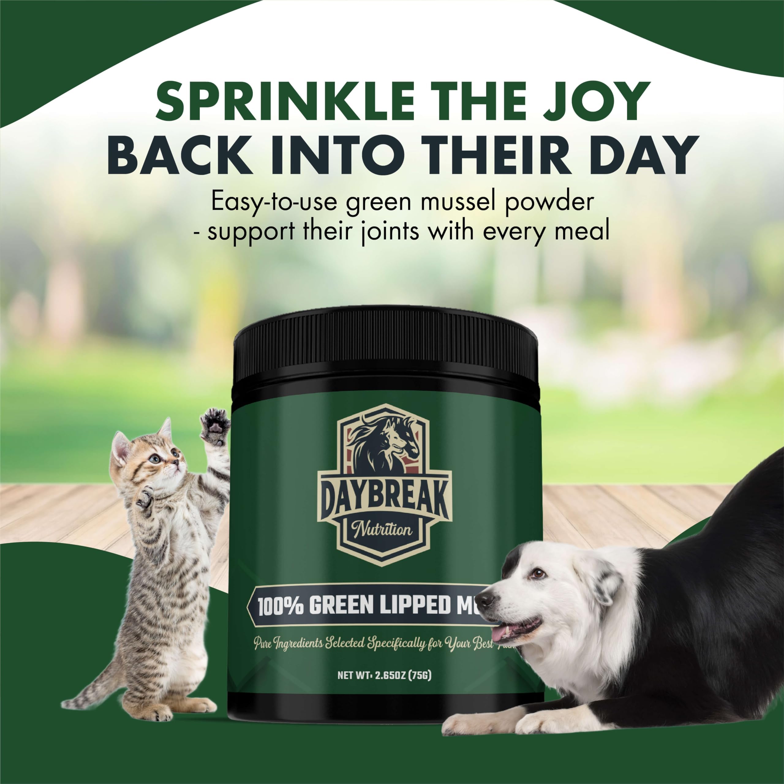 Emballage Daybreak Nutrition, bocal fermé pour meilleure conservation.