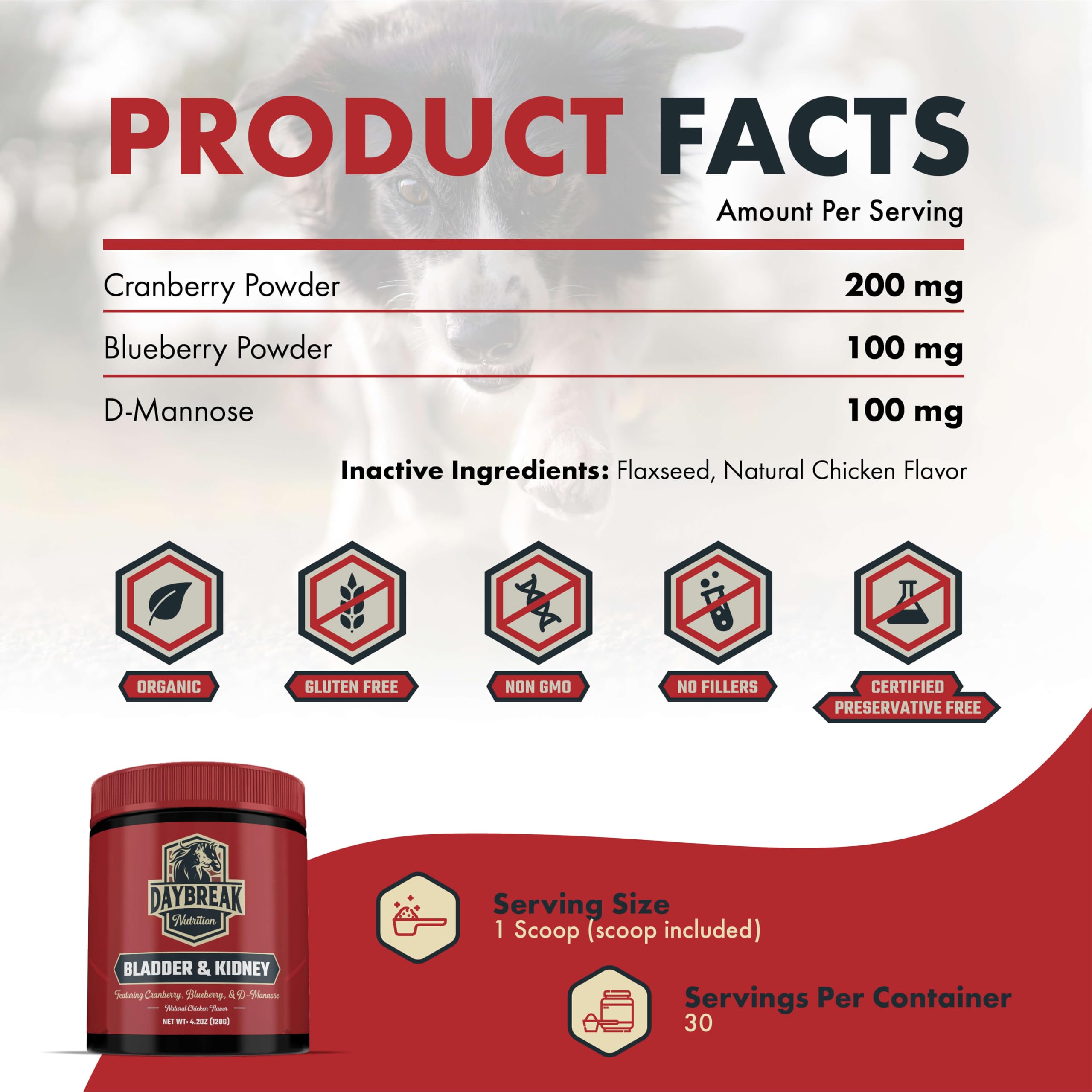 Daybreak Nutrition Poudre Cranberry et D-Mannose – soutien urinaire pour chiens et chats.