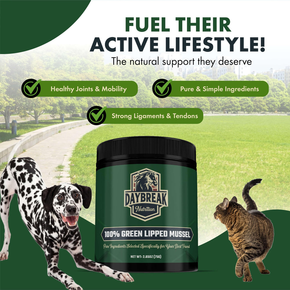 Usage quotidien Daybreak Nutrition, soutien articulaire pour chiens et chats.