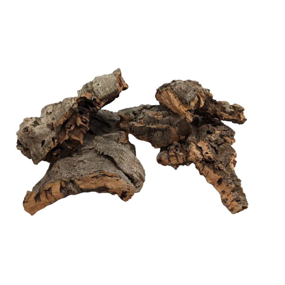 DBDPet écorce liège pour reptiles – pièces variées, supports pour orchidées et habitats naturels