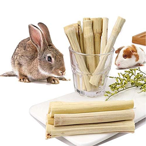 Jouet ron­geur lapin en bambou par Dbeans Flourithing, aide à entretenir les dents et divertir.