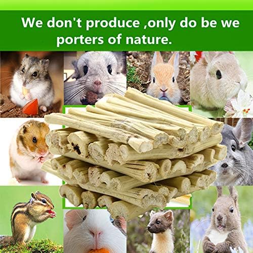Naturel ron­geur lapin bambou par Dbeans Flourithing, produit durable et sûr pour le divertissement.