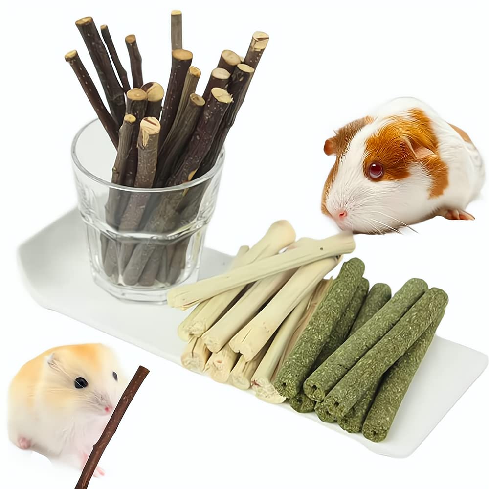 Jouet Dbeans Flourithing trio, parfait pour occuper les petits animaux et réduire l'ennui