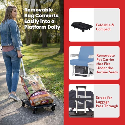 dbest products Panier animaux confort et durabilité.
