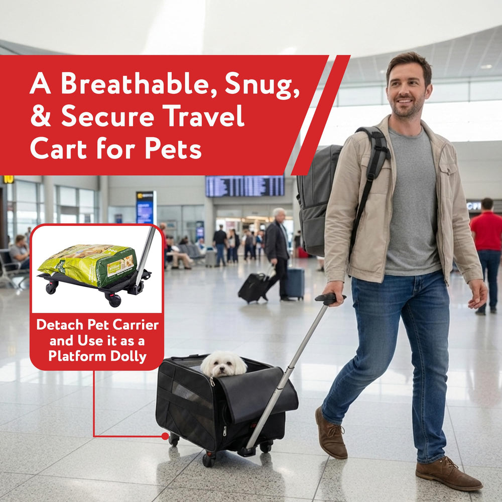 dbest products Sangle passe-bagage pratique.