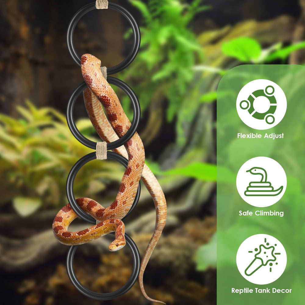 DBNESS aménagement terrarium enrichi optimise l espace vertical pour serpents et autres espèces.