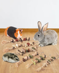 DBNESS jouet-grignotage-lapin-coquilles-coco: variété naturelle pour l’usure des dents et la curiosité.