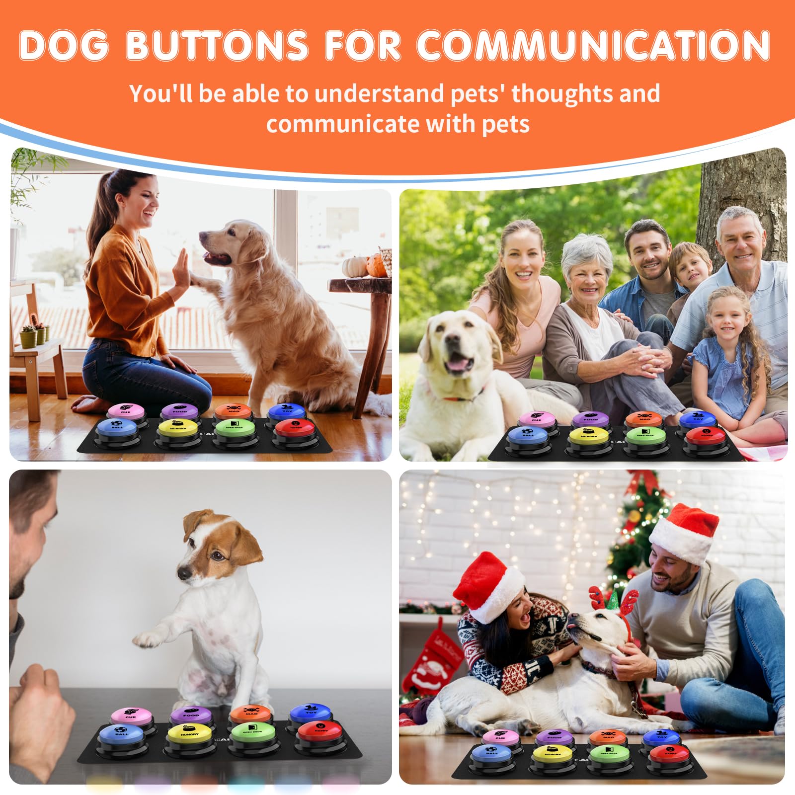 DCIAER guide formation chien, démarrage rapide pour les phrases.