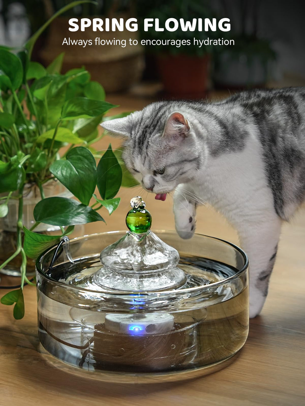 DCIOGAT fontaine-chat-eau-cristalline-verre, eau en rotation toujours fraîche