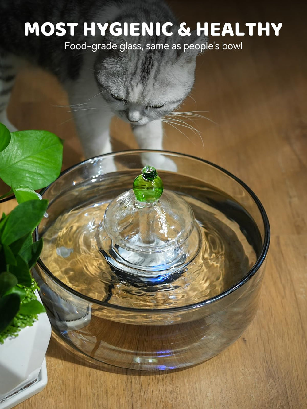 DCIOGAT fontaine-chat-filtration-complète-verre, filtration continue pour eau propre