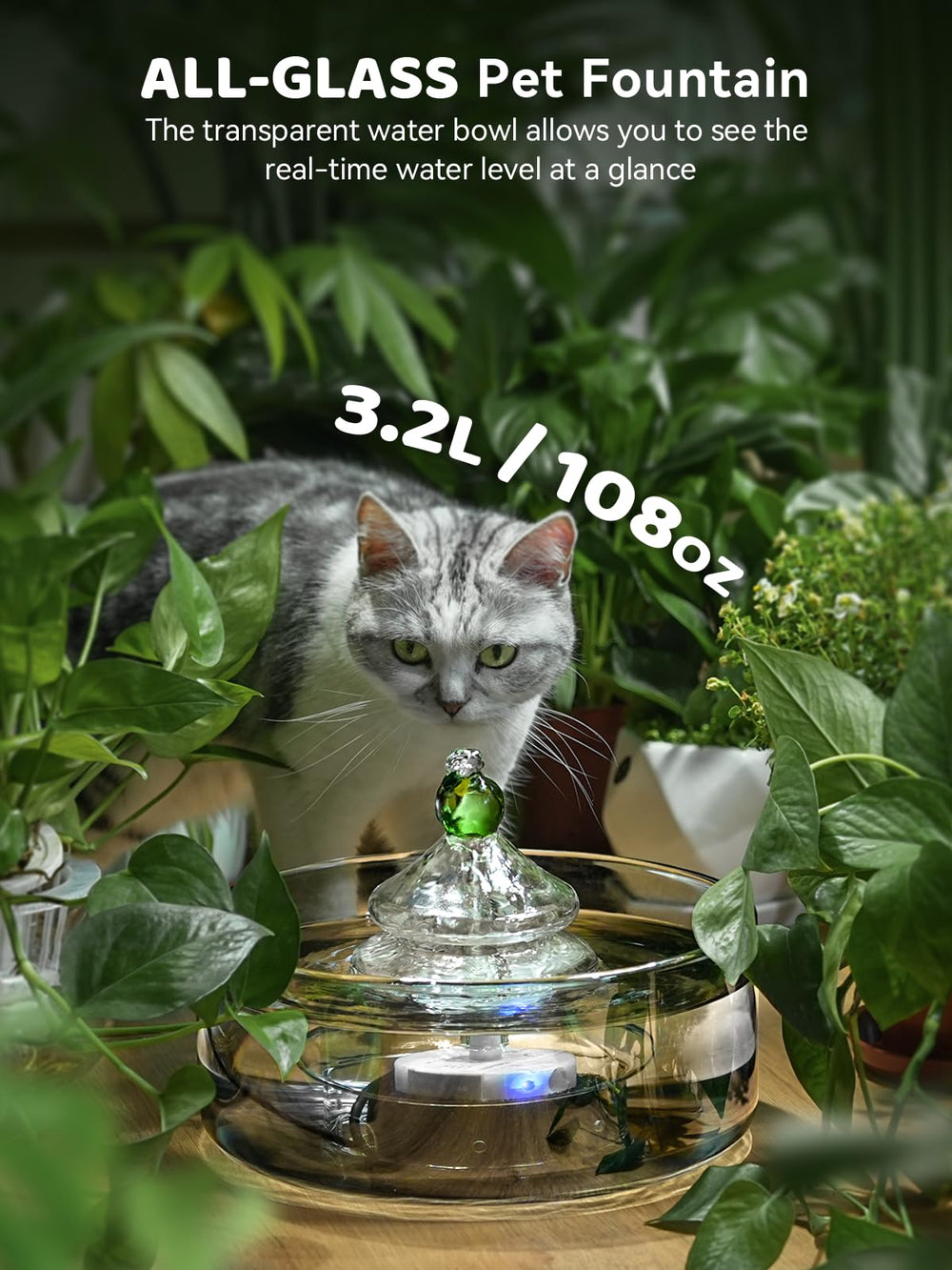 DCIOGAT fontaine-chat-flux-printemps-verre, flux doux incitant à boire