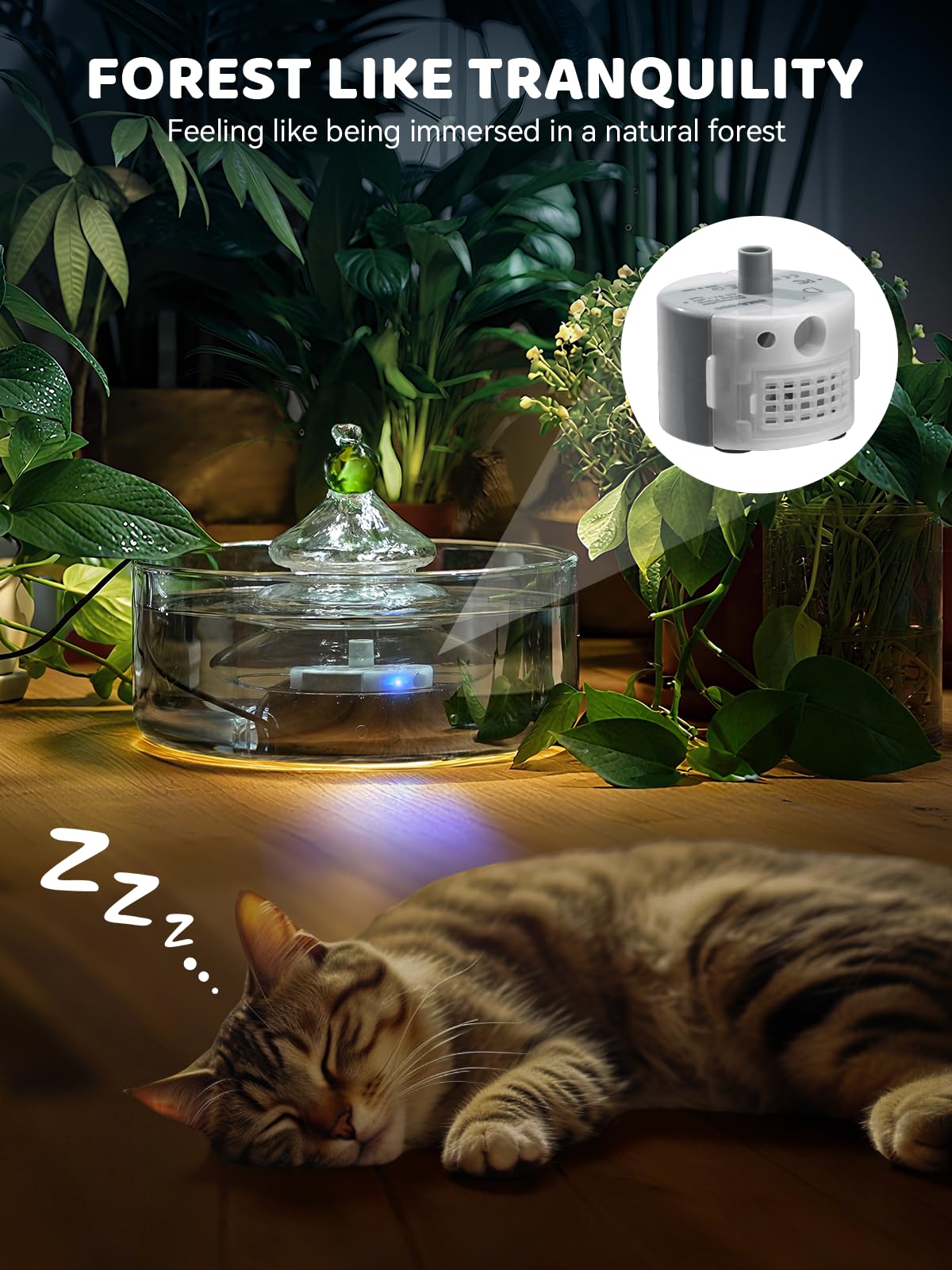 DCIOGAT fontaine-chat-hygiene-optimale-verre, entretien facile et hygiénique