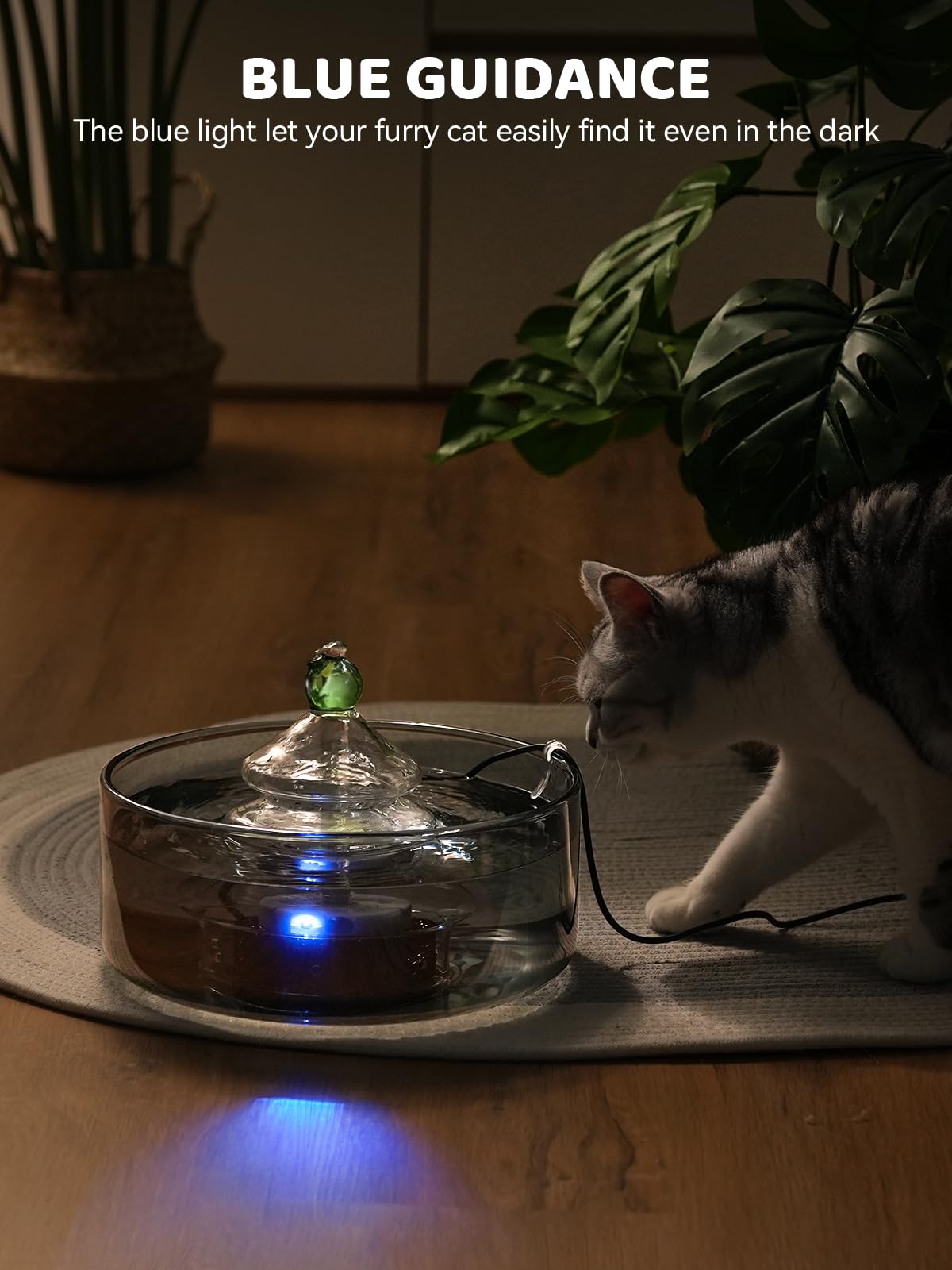DCIOGAT fontaine-chat-utilisation-quotidienne-verre, design élégant et discret