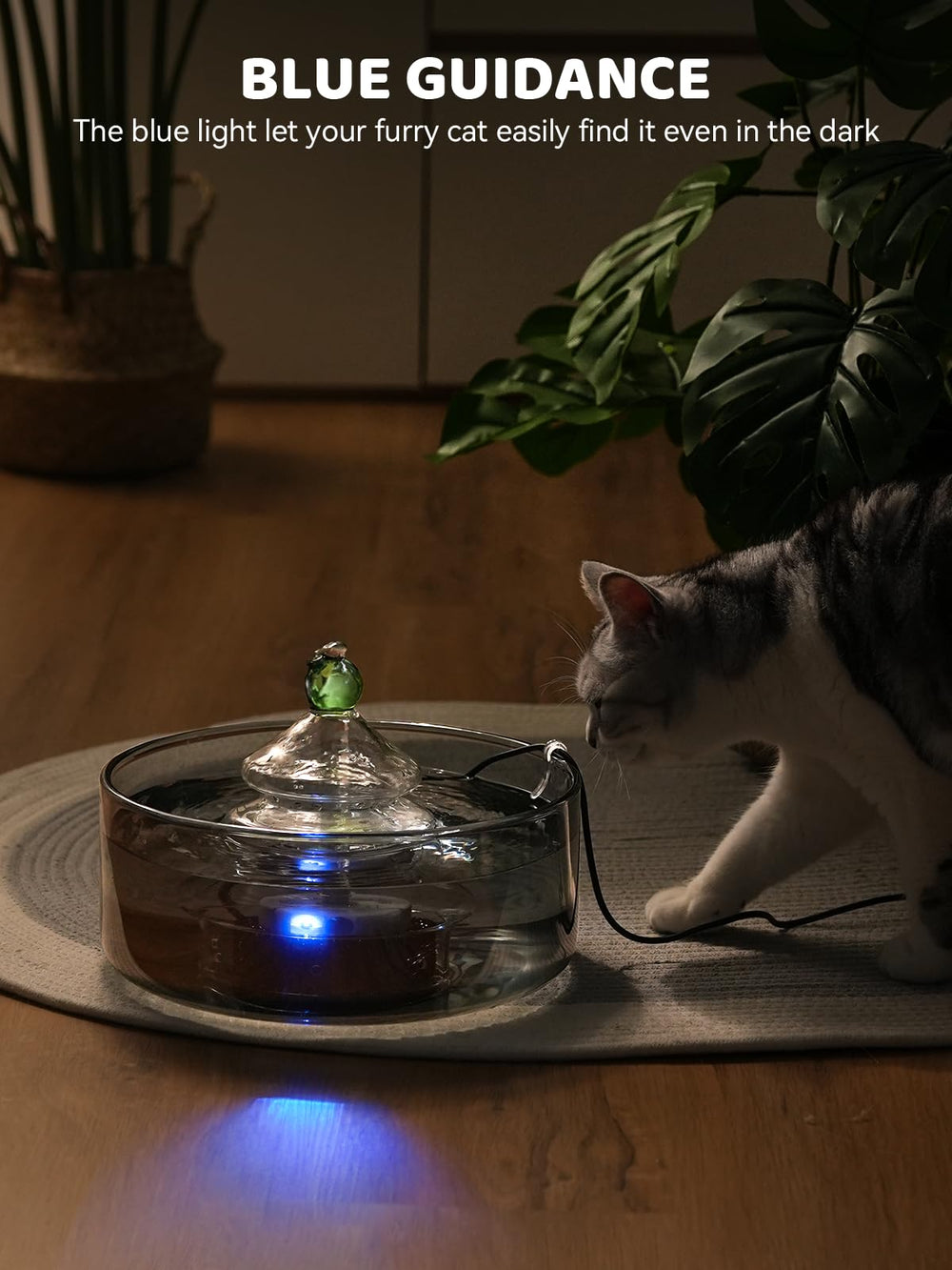 DCIOGAT fontaine-chat-utilisation-quotidienne-verre, design élégant et discret