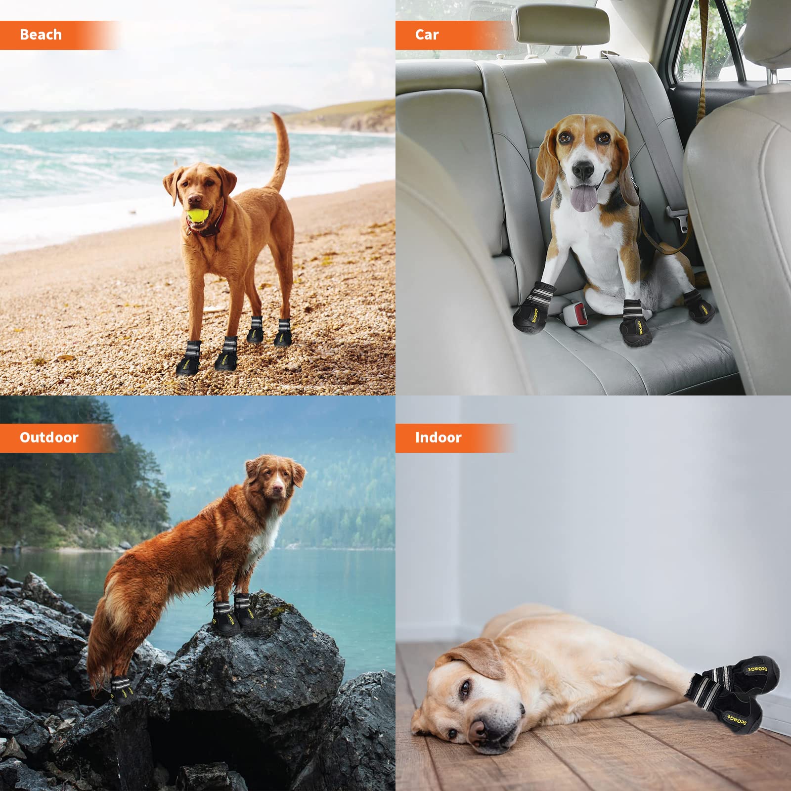 DcOaGt Chaussures Chien Grand – tailles disponibles et guide de mesures recommande.