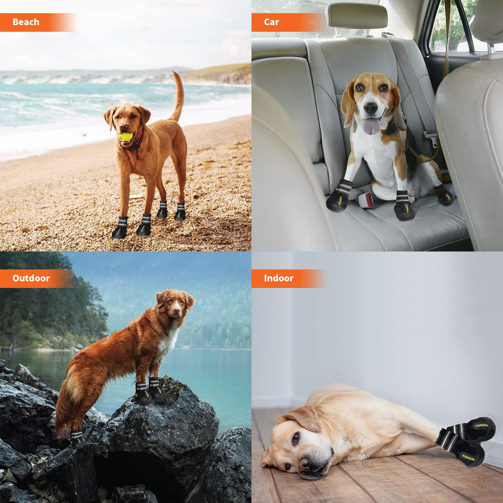 DcOaGt Chaussures Chien Grand – tailles disponibles et guide de mesures recommande.