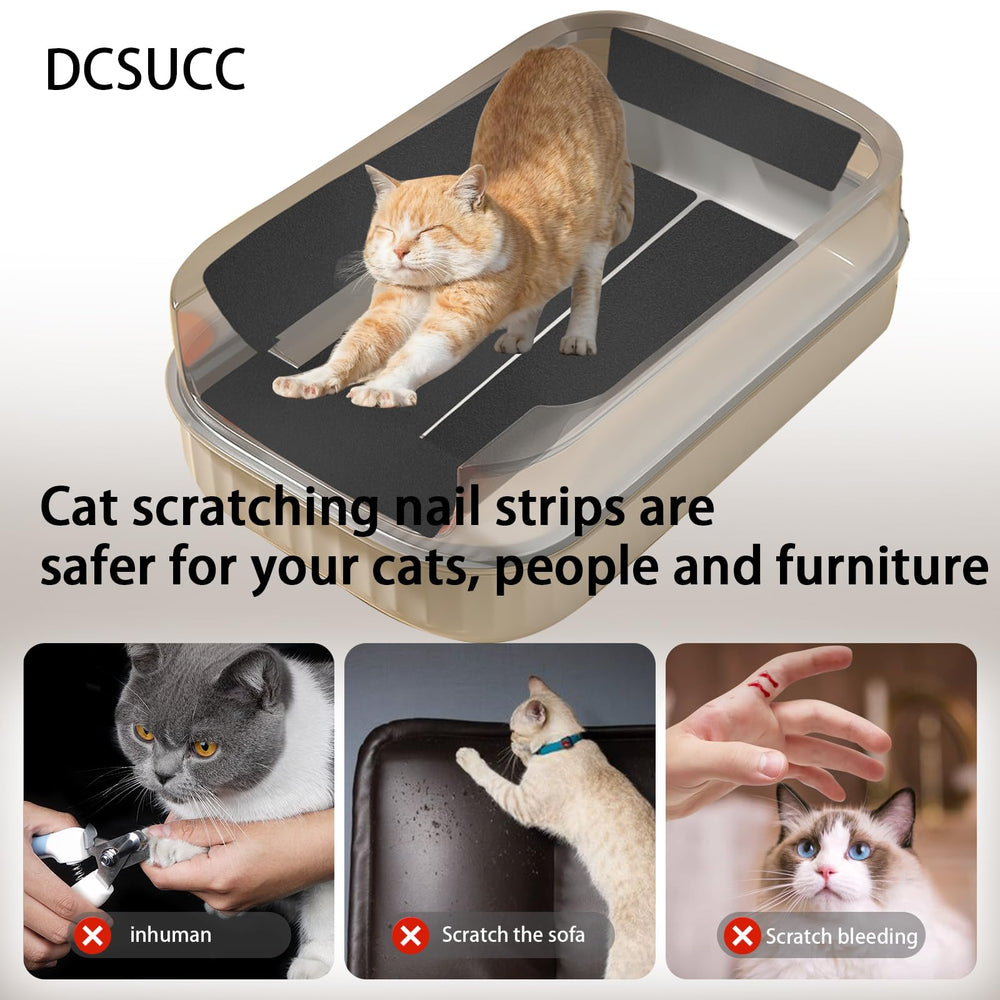 DCSUCC bandes-lime griffes-chat avec grains 80 et 120, polissage en douceur.