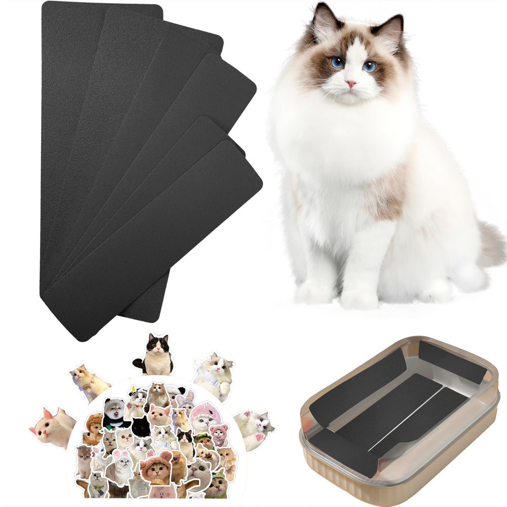 DCSUCC bandes-lime griffes-chat dans bac-litière, pratique et durable.