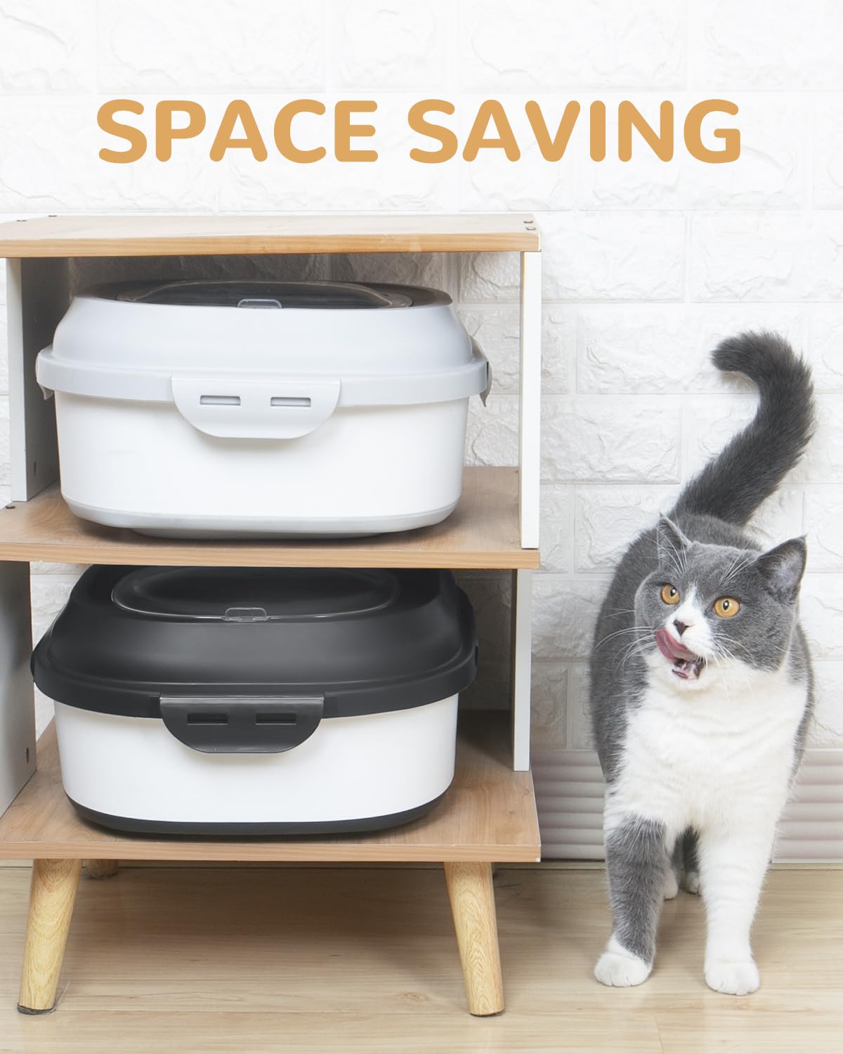 DDMOMMY conteneur nourriture animal – échelle de portion claire pour servir avec précision.