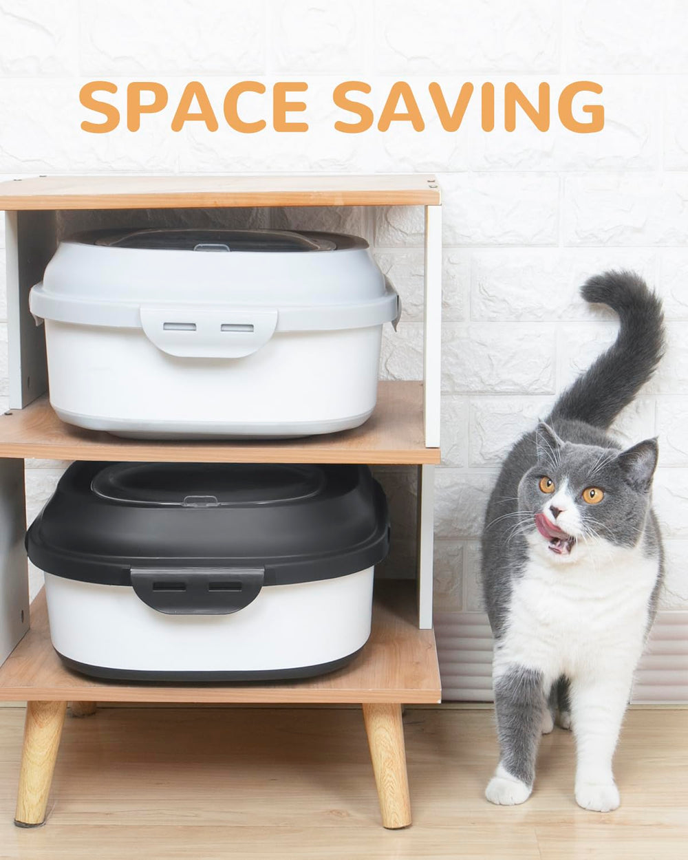 DDMOMMY conteneur nourriture animal – échelle de portion claire pour servir avec précision.