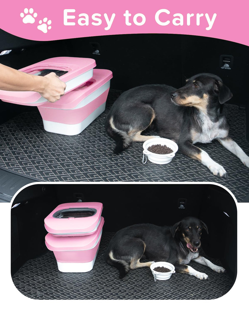 DDMOMMY Conteneur nourriture chien – matériau HDPE sûr et durable