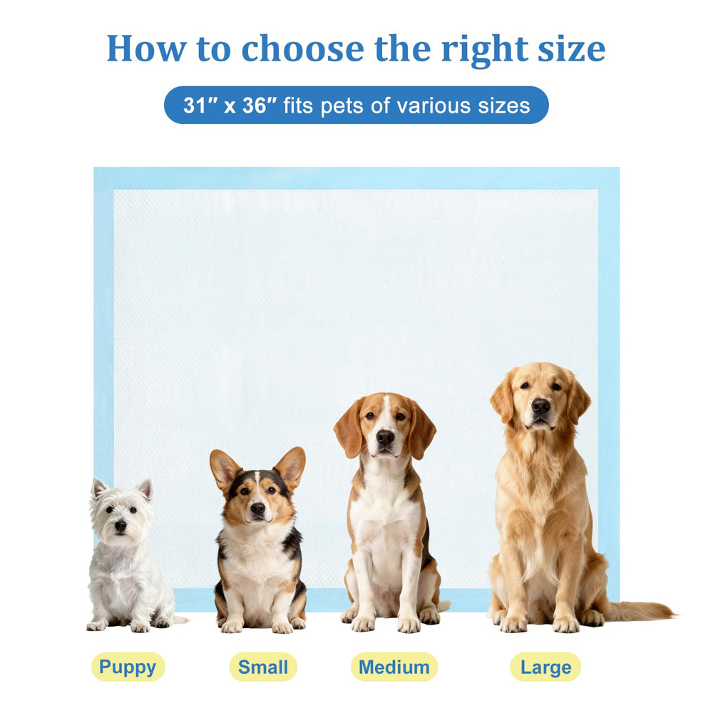 Utilisation polyvalente DDS CURTAIN pour chien, chat et petit animal.