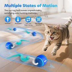 ddxcoo balle chat avec queue sans enchevetrement, entretien facile des poils.