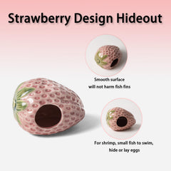 Deapeey caverne-fraise-aquarium: vue arrière pour une intégration harmonieuse
