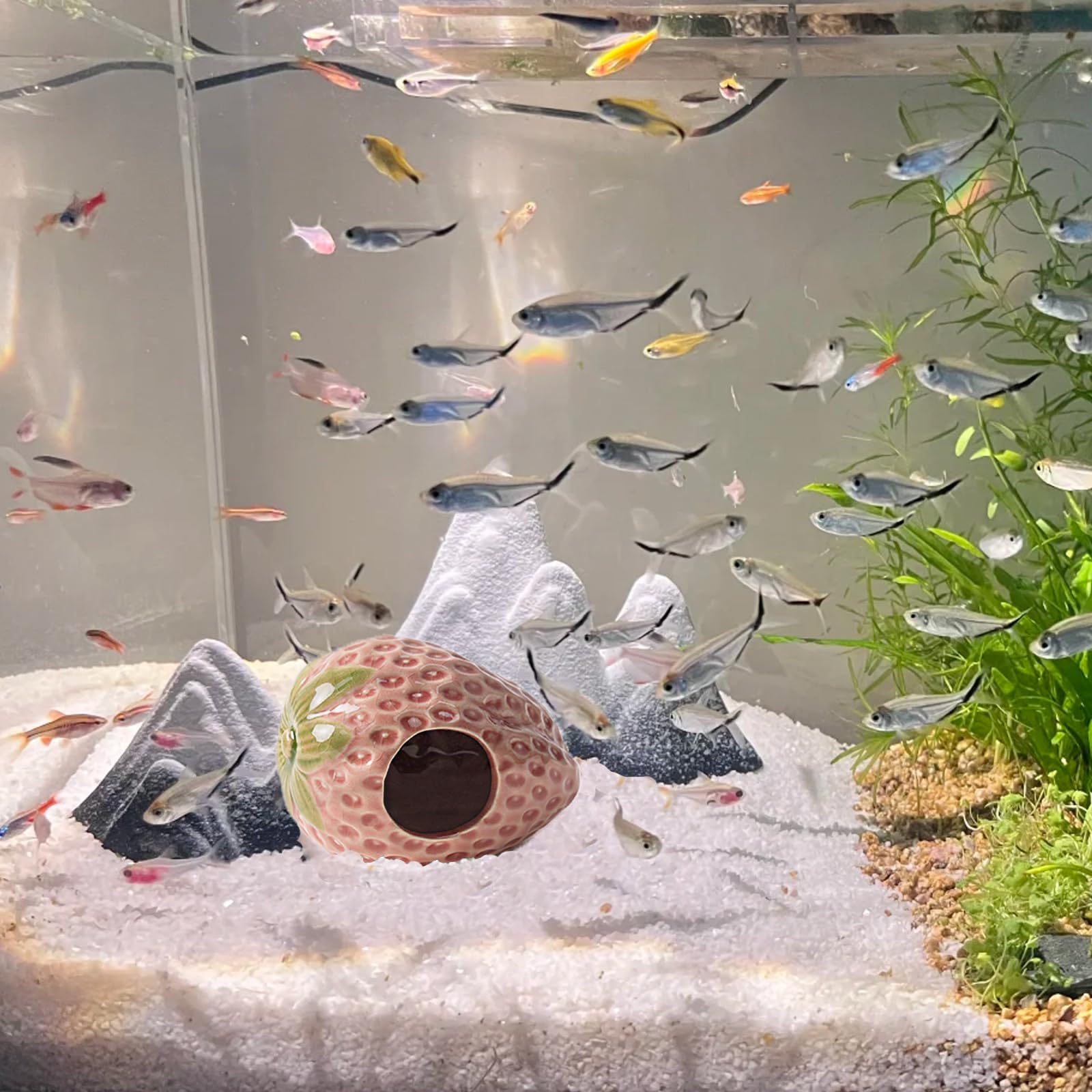 Deapeey décor rose: design adorable qui anime l’aquarium