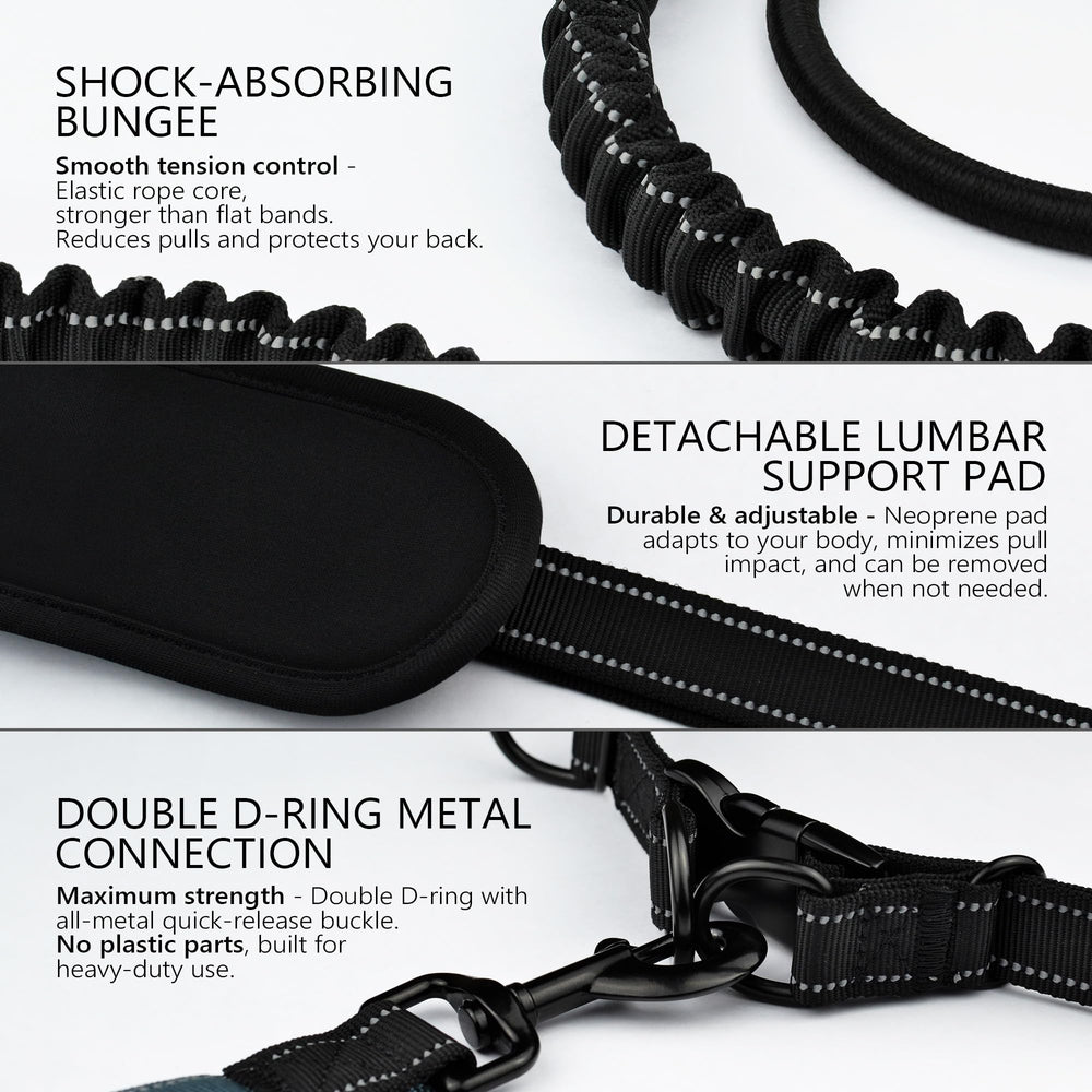 DearWells Laisse à la taille – boucle métallique rapide assure sécurité durable.