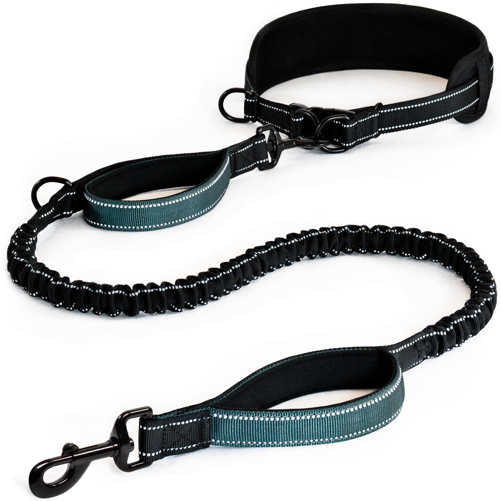 DearWells Laisse à la taille – mains libres pour promenades confortables et sécurisées.