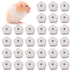 DEAYOU Lava Bites chinchilla : bloc dentition fleur pour mâchage sûr et stimulant.
