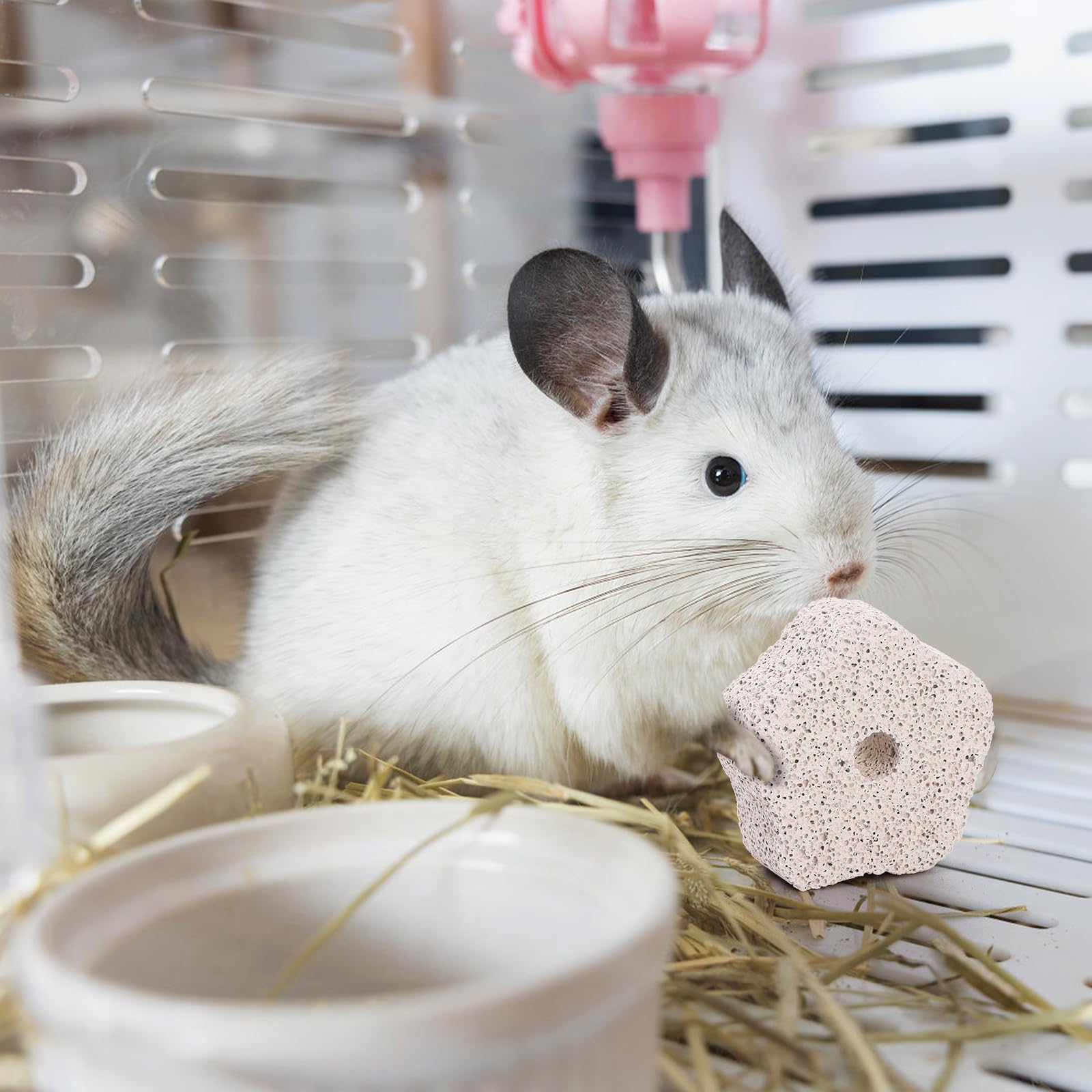 DEAYOU Lava Bites oiseau : jouet dentition pour stimulation du bec et bien-être.