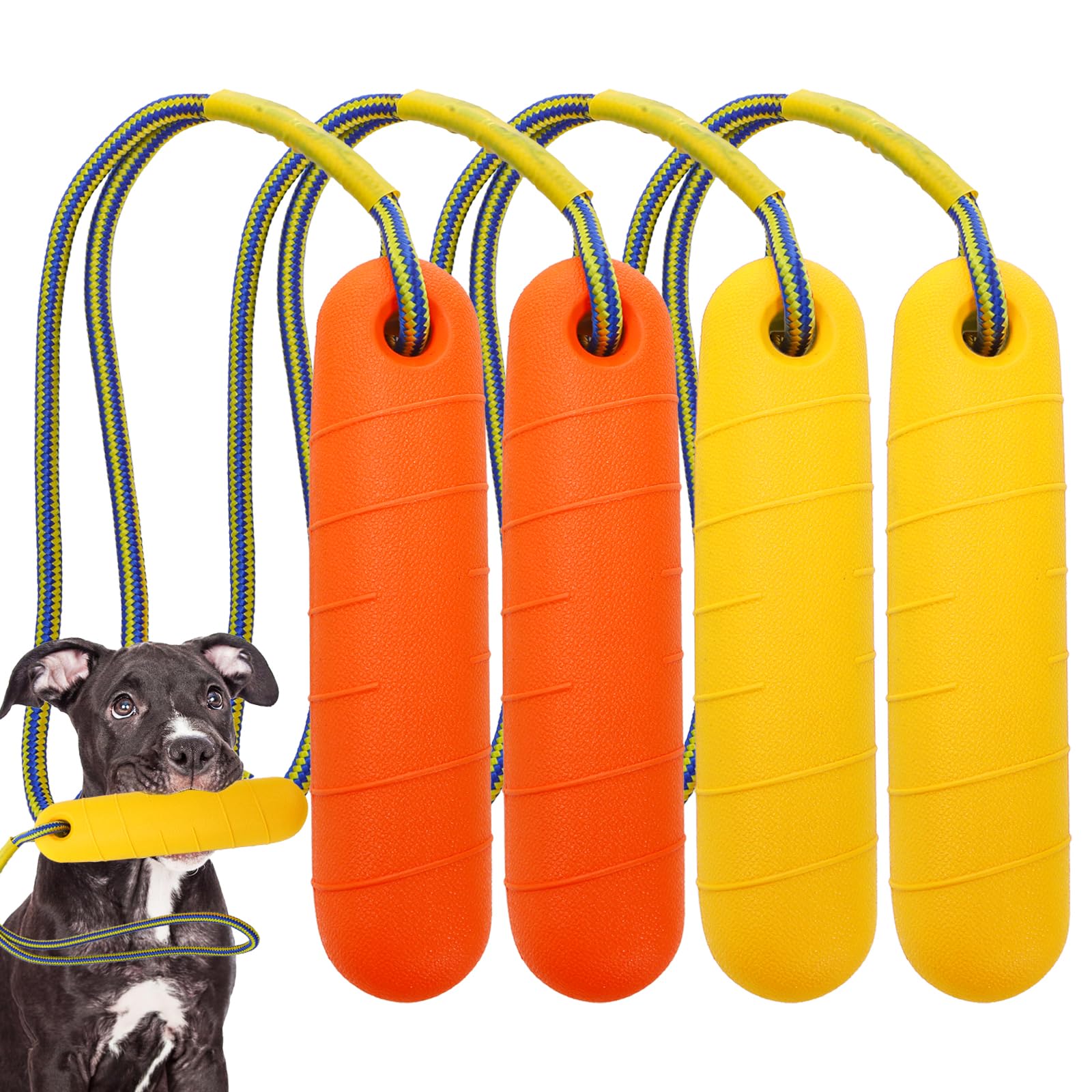 Jouets DEAYOU Lot 4 pour chien, ensemble coloré idéal pour jeux d'eau.