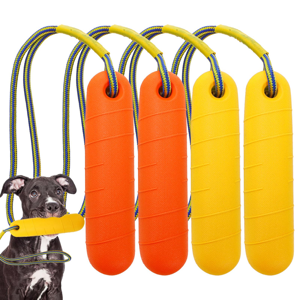 Jouets DEAYOU Lot 4 pour chien, ensemble coloré idéal pour jeux d'eau.