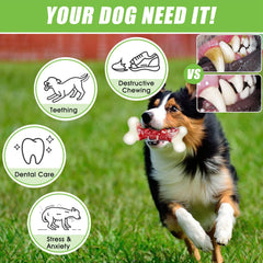DEBAK jouet dentition solide, aide à canaliser l'énergie du chien.