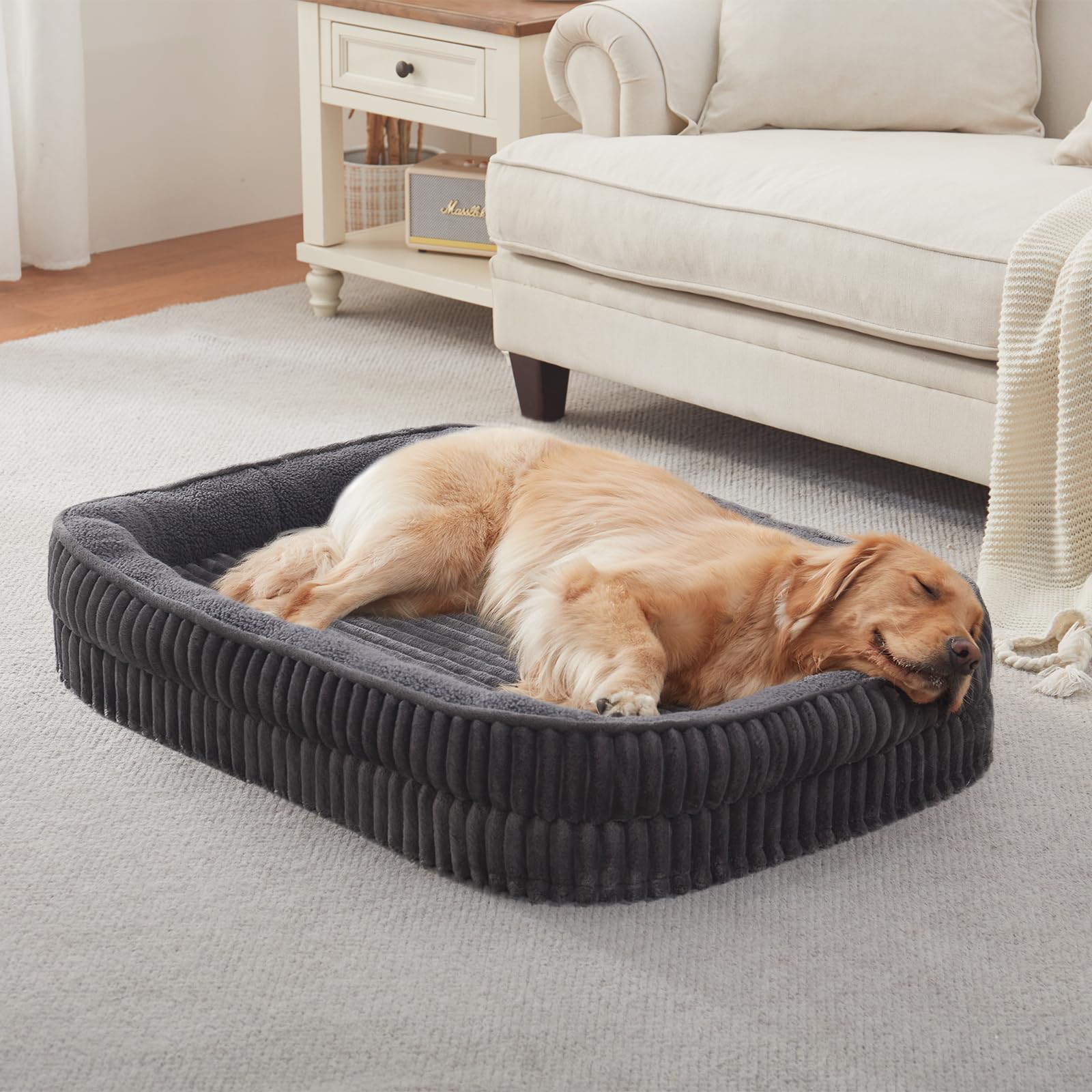 DEBANG HOME lit orthopédique pour chien moyen — aperçu général et confort.