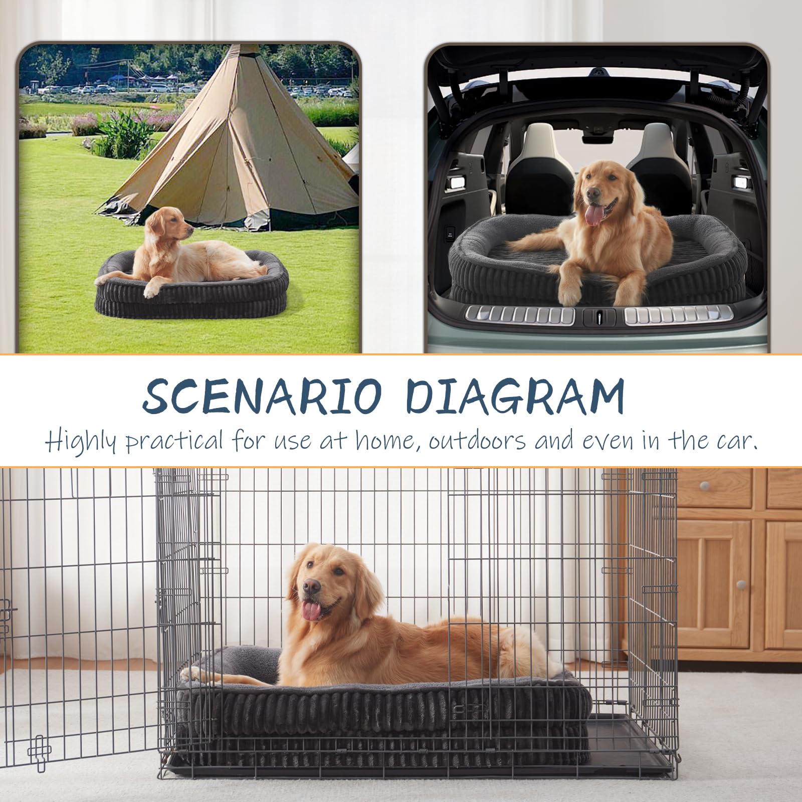 DEBANG HOME tailles variées — ajustement parfait pour votre compagnon.