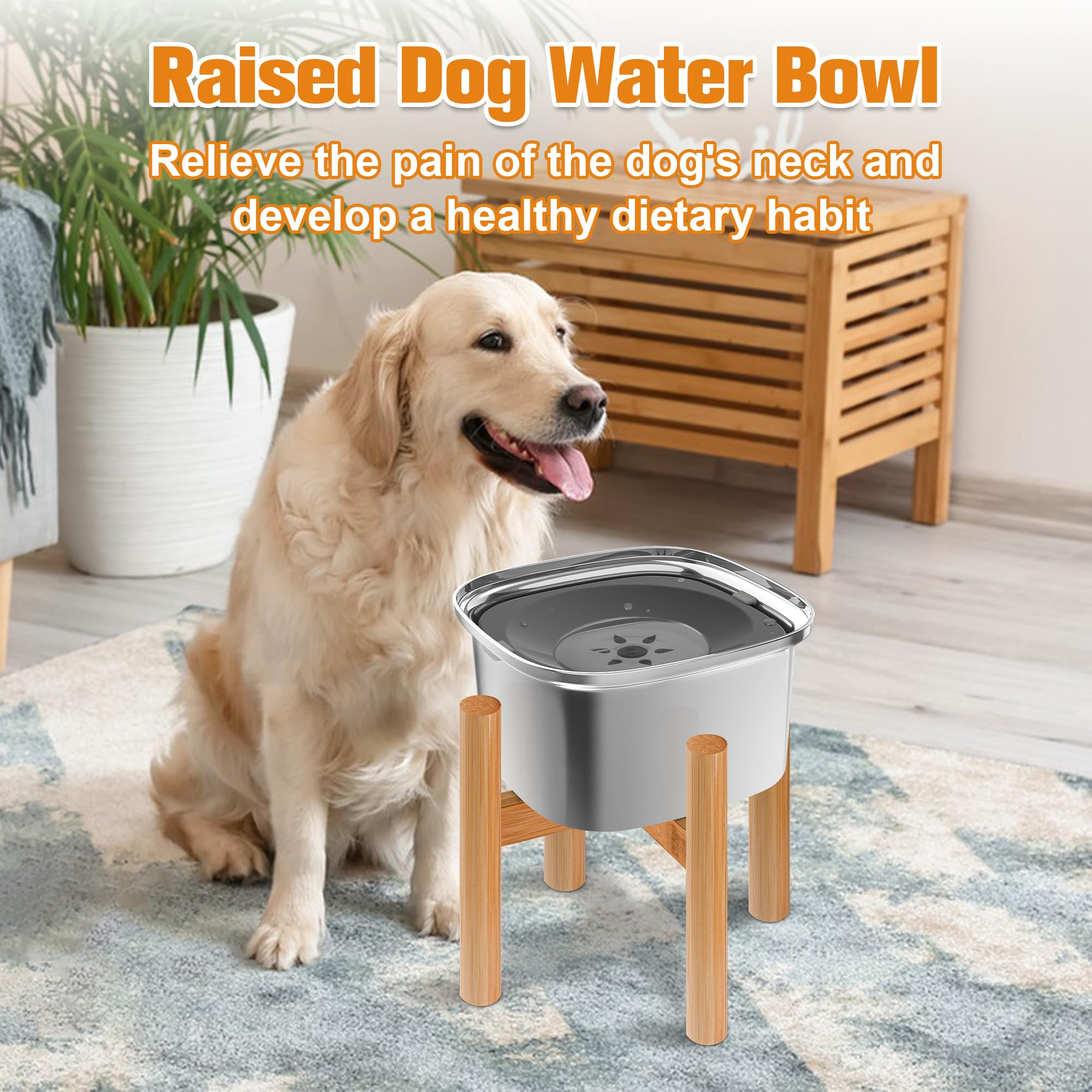 Decflow ensemble durable inox et bois robuste pour chien