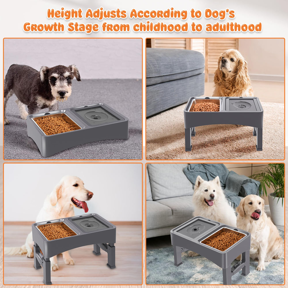 Decflow ensemble polyvalent pour chiens moyens et grands, confort et ergonomie.