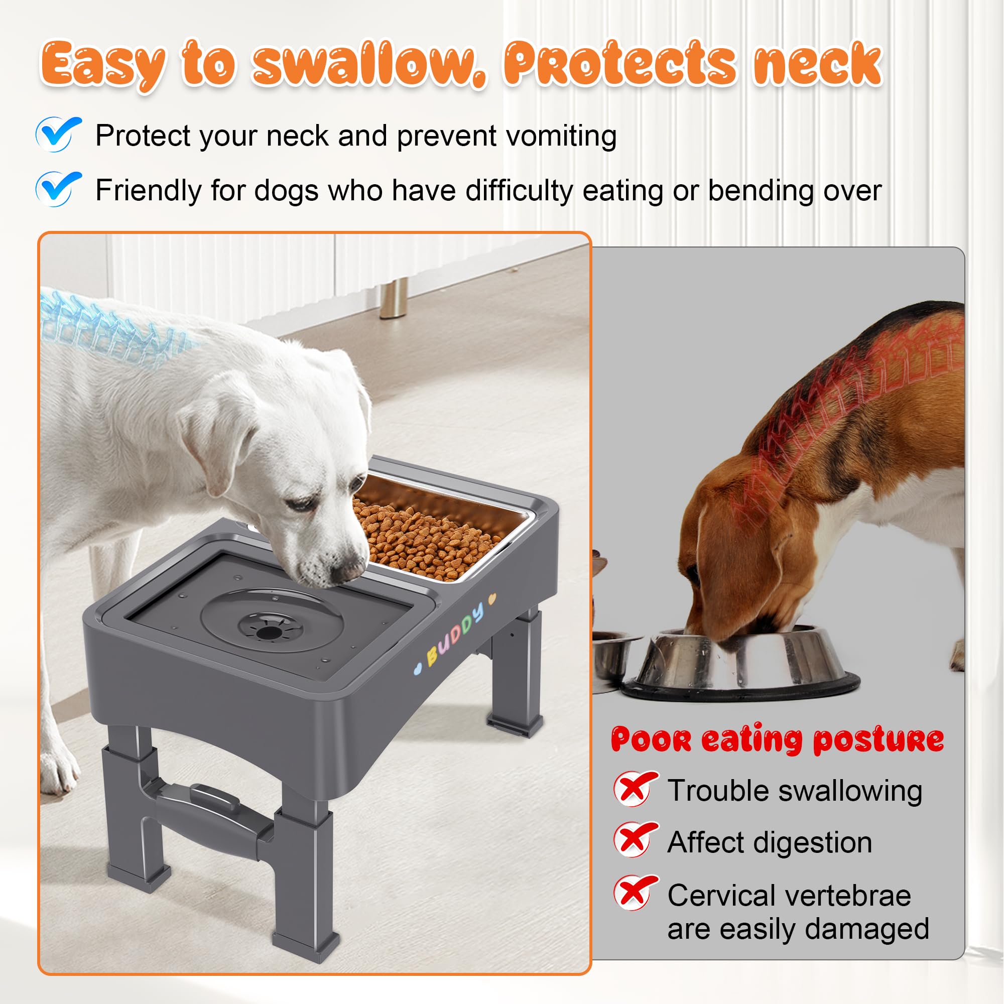 Decflow support pliable pour chien, facile à transporter lors des déplacements.
