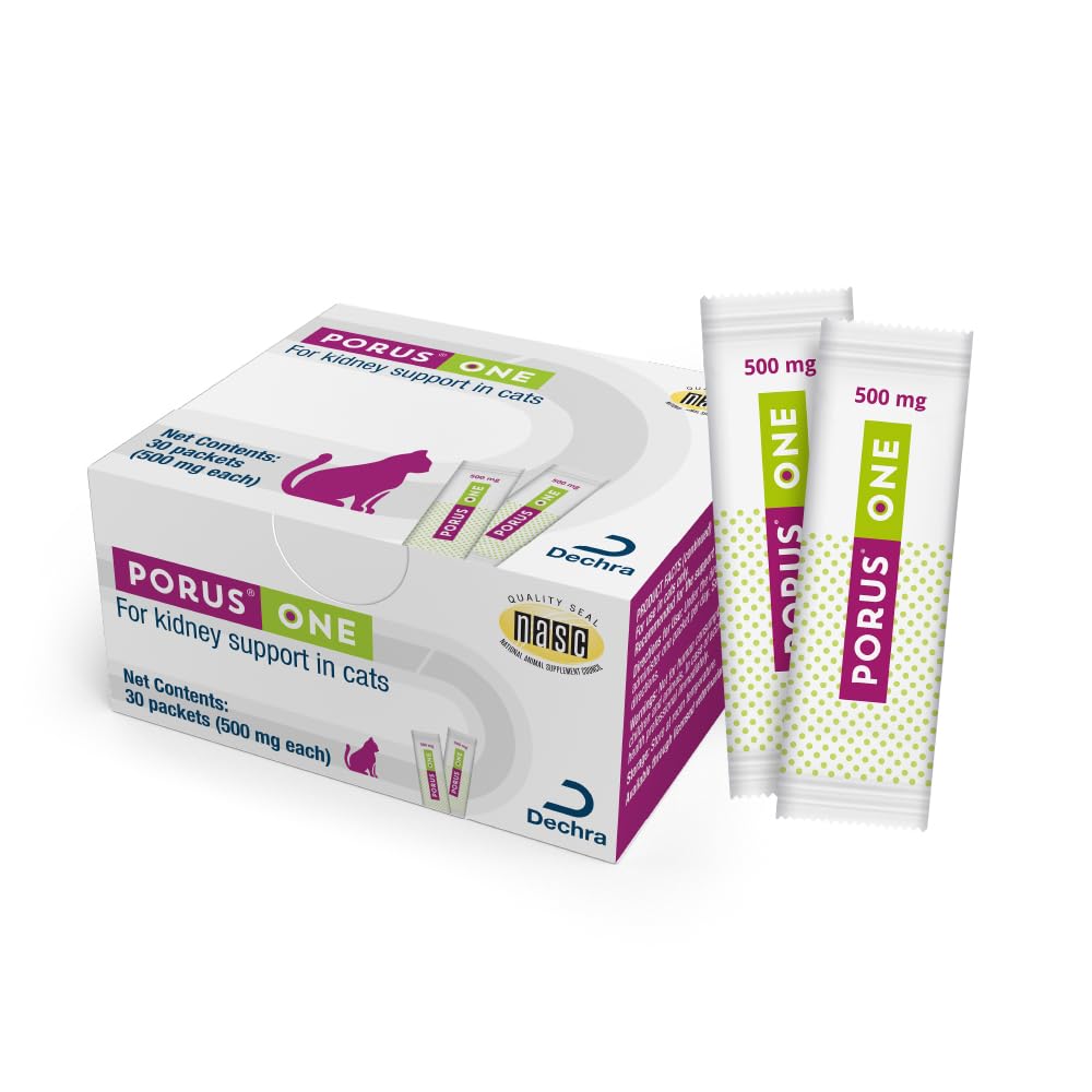 Porus One de Dechra, bouteille 500 mg, soutien potentiel pour la fonction rénale féline.
