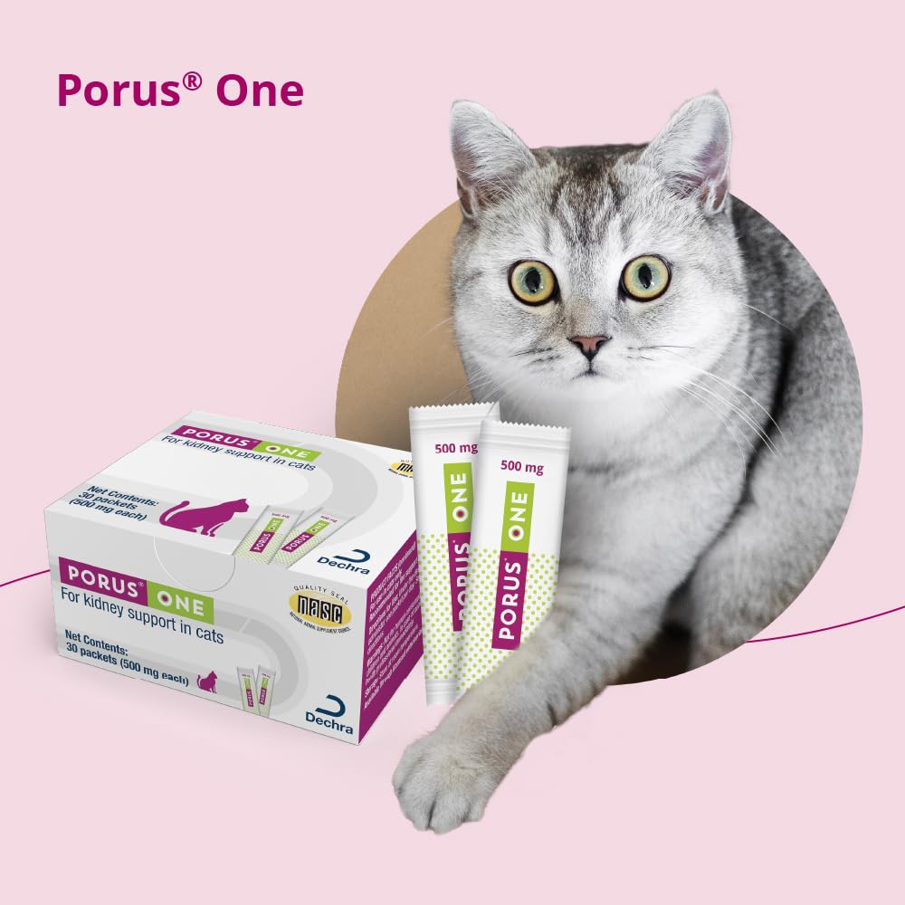 Porus One de Dechra, design propre et étiquette lisible pour le bien-être félin.