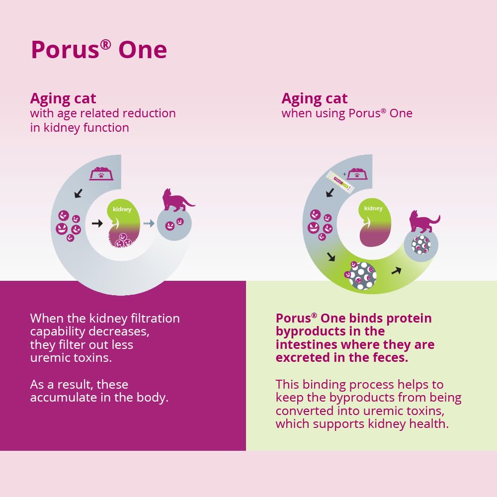Porus One de Dechra, utilisation quotidienne recommandée pour chats.