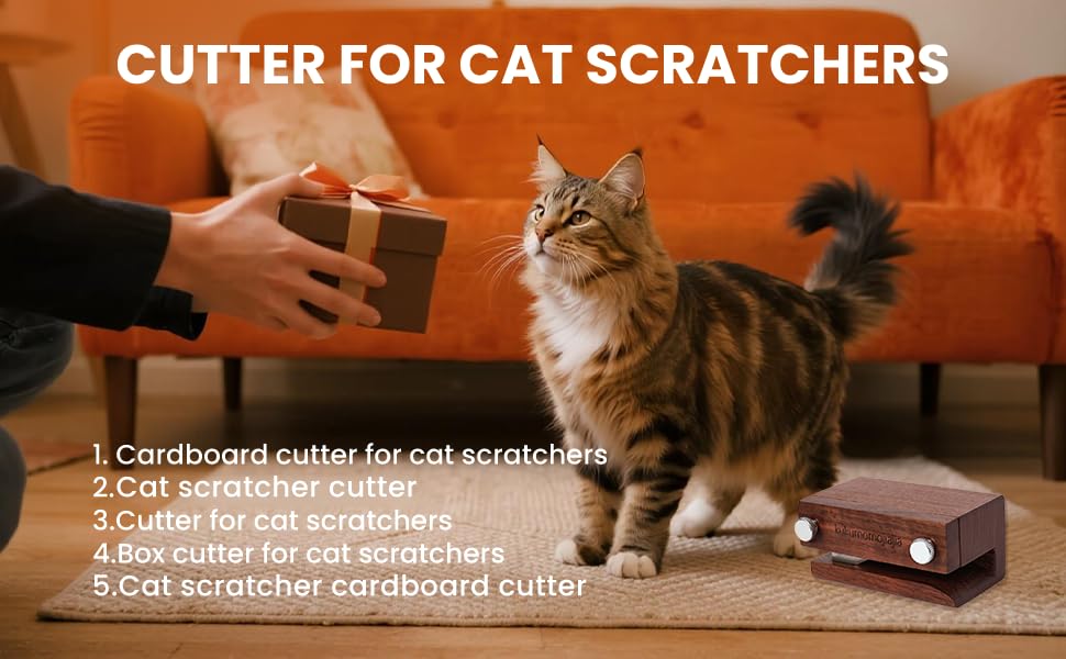 Découpe-carton-chat : démarrage rapide de projets de bricolage pour chats.