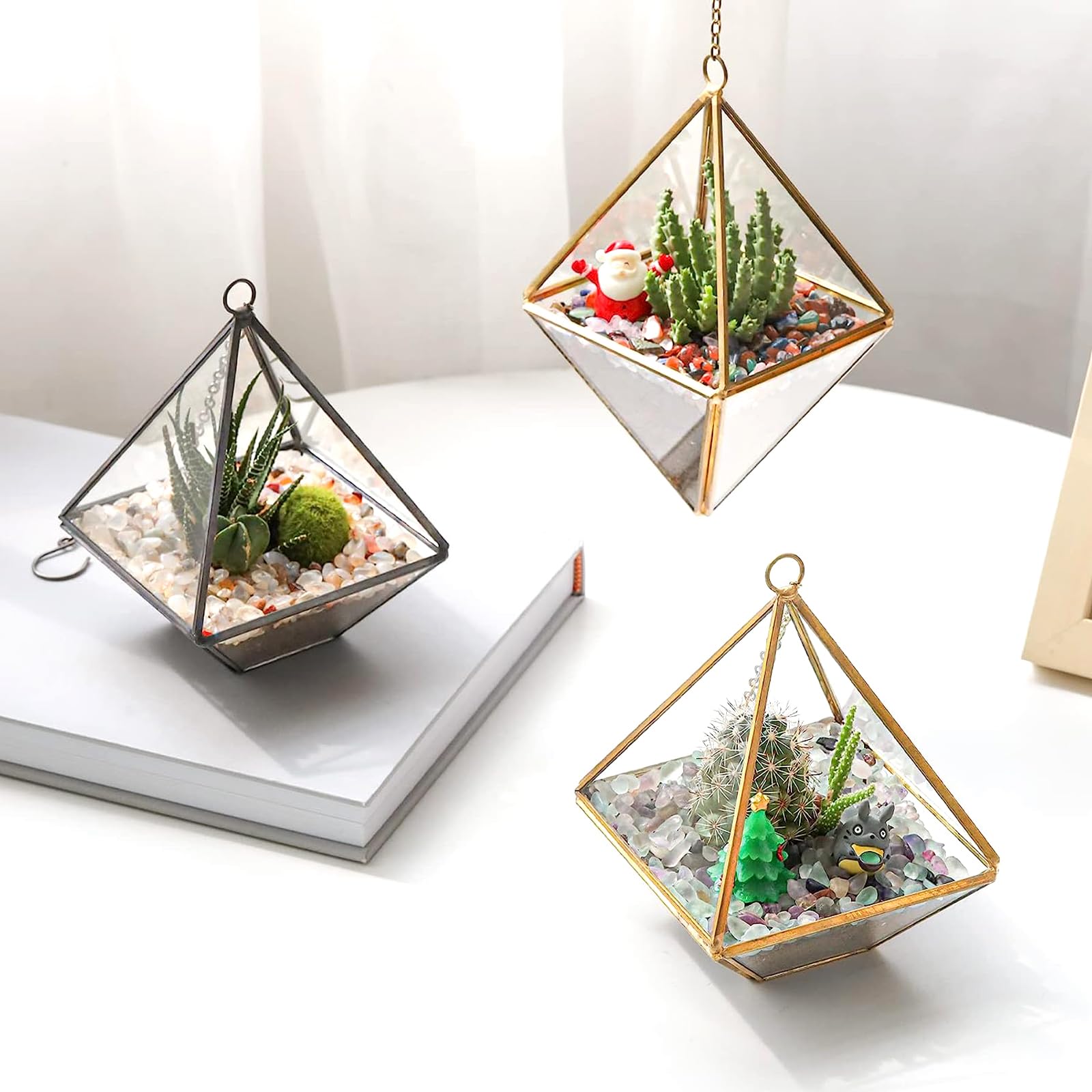 DEEDOCHY terrarium et mini-jardin avec fluorite chatoyante.