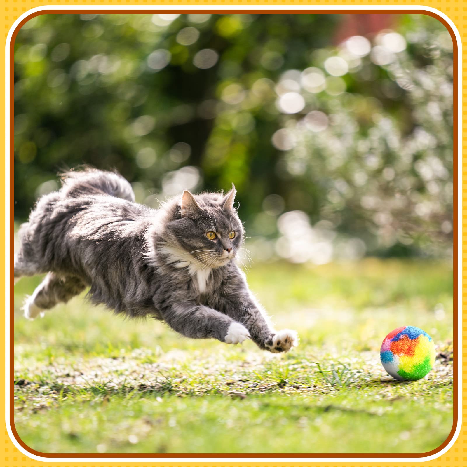 Balles pom-pom Deekin interactif 1,6 pouces: renforce le lien