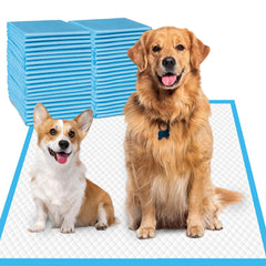 Deep Dear tapis d'entraînement XXL 30x36: absorption rapide et protection des sols.