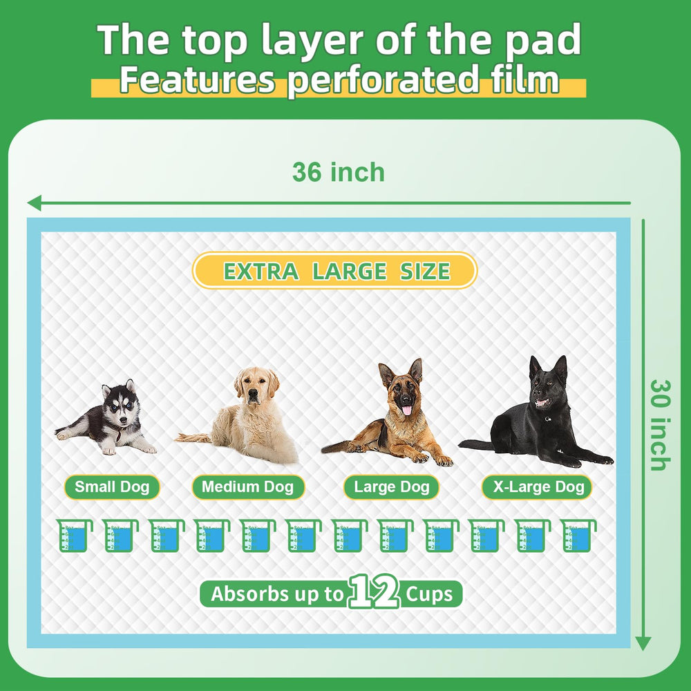 Deep Dear tapis grande taille XXL 30x36: matériaux de qualité et résistance.