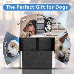 DeerGym rampe-chien-pliable-34-pouces, rampe pratique pour les trajets.